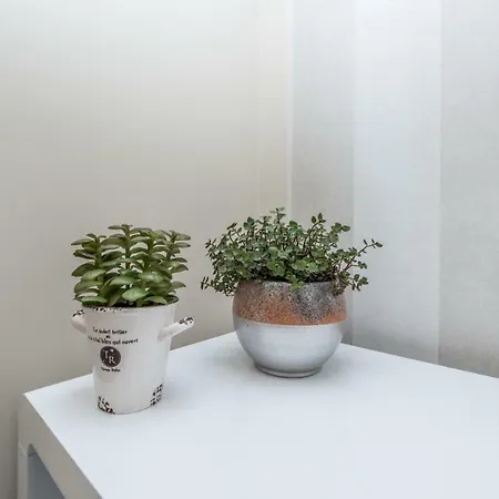 El-zara Apartmán